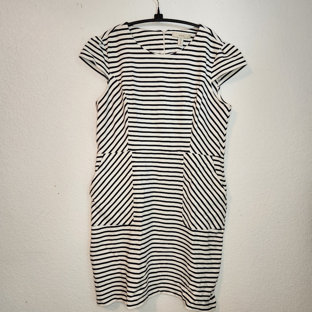 Lark & Ro Black and White Striped Midi Dress,‎ Size XL